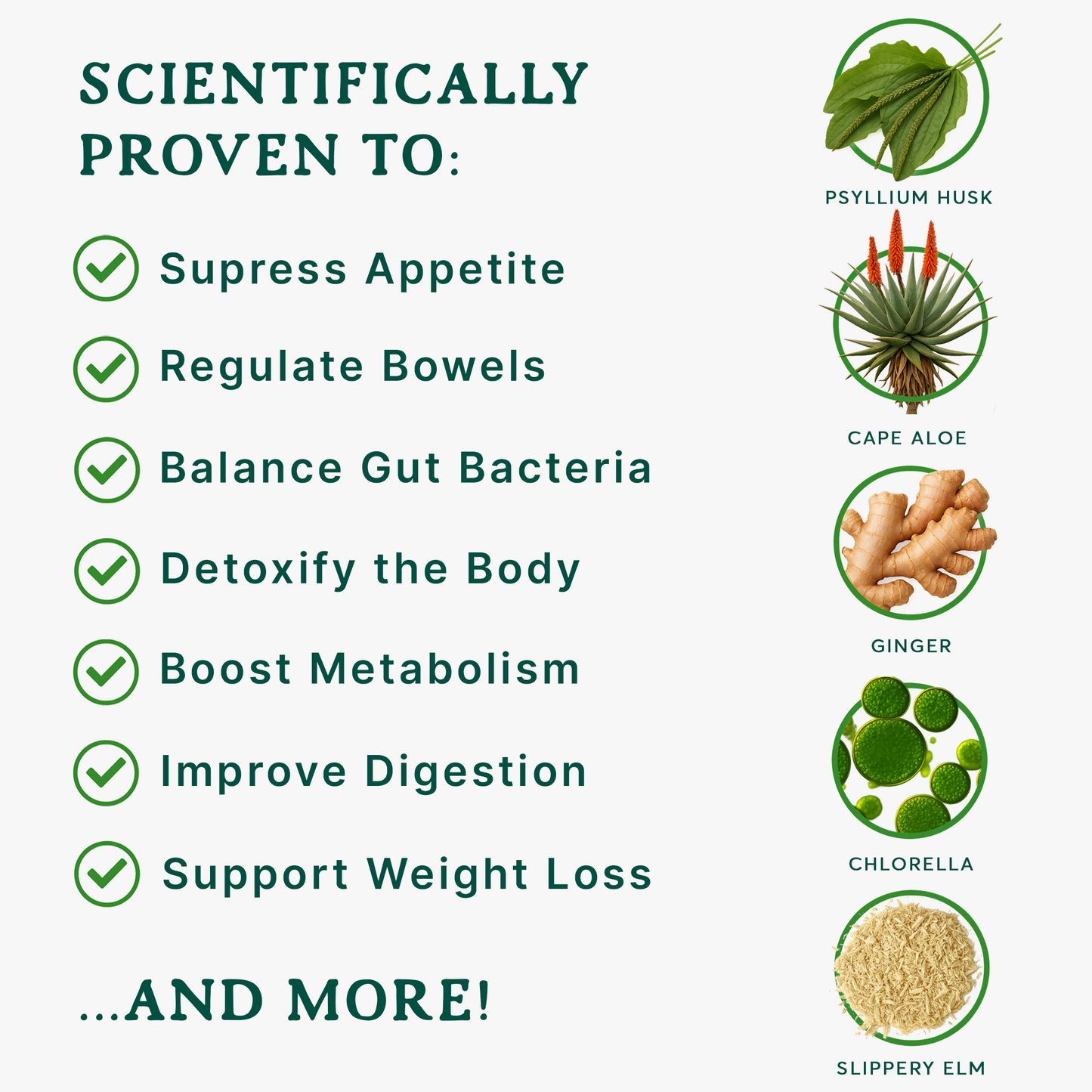 Psyllia® Darmgesundheit [USA]